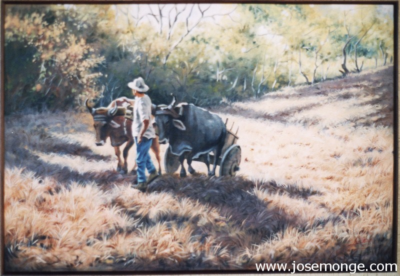 Campesino y su carreta con bueyes